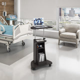 Techni Mobili Sit-to-Stand Rolling Adjustable Height Laptop Cart with Storage, Graphite, 22 x 16 x 46