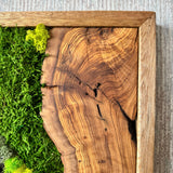 Preserved Moss Wall Art - Natural Green Decor with Wood Frame Modern Nature Wall Hanging for Home and Office - 16"x39"