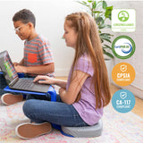 ECR4Kids The Surf Portable Lap Desk with Cushion