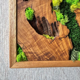 Preserved Moss Wall Art - Natural Green Decor with Wood Frame Modern Nature Wall Hanging for Home and Office - 20"x39"