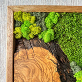 Preserved Moss Wall Art - Natural Green Decor with Wood Frame Modern Nature Wall Hanging for Home and Office - 16"x32"