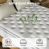 Oliodys Queen Mattress, 14 Inch Hybrid Matress with Memory Foam & Individual Pocket Springs,Fiberglass Free, Soft and Breathable, Medium Feel