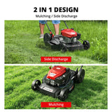AMERISUN 144cc Gas Lawn Mower, 21 inch 2-in-1 Mulching & Side Discharge, 6-Position Height Adjustment, Foldable Handles for Lawn, Yard, and Garden Maintenance