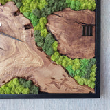 MIODUO DECOR Olive Wood Moss Wall Clock 16"x36" - Silent Wood Floating Art Piece - Real Preserved Moss Wall Decor for Minimalist Home Interiors