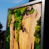 Handmade Preserved Moss Wall Art with Solid Cedar Wood Frame, 100% Real Moss Wall Decor, Maintenance-Free Greenery Art for Modern Office & Home, Unique Vertical Nature Art Gift 1 Piece, 24" x 40"