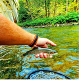 Aventik Fly Floating Fishing Net Carbon Fiber Landing Net Clear Rubber Ghost Net Catch & Release with Magnet Release (Black with Magnet
