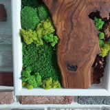 White Framed Moss Wall Art, Vertical Cedar Wood & Preserved Greenery Modern Natural Wall Decor for Living Room, Office & Home, Zero Maintenance Handcrafted Gift 47" x 16"