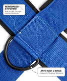 DMoose Fitness Neck Harness for Weight Lifting - Soft Padded Head & Chin Strap with 30" Heavy Duty Steel Chain - Neck Exerciser, Trainer & Strengthener to Support Injury Recovery (Blue)