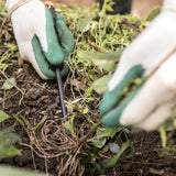 Vegetable Garden Tool Set with Vegetable Shears, Seed Sower, Trowel, Cultivator, Weeder, and L/XL Garden Gloves (6 Piece Kit)