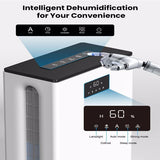 3L Dehumidifier for Home with Auto Shut Off, Large Room