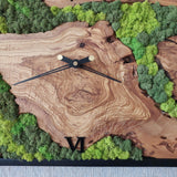 MIODUO DECOR Olive Wood Moss Wall Clock 16"x32" - Silent Handmade Wooden Wall Art - Real Preserved Moss Decor for Modern Farmhouse Living Room