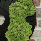 Round Moss Wall Art Set of 3 Preserved Moss Decor on Solid Wood Base Natural Wooden Wall Decor for Living Room Office Home Zero Maintenance Botanical Art