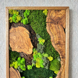 Preserved Moss Wall Art - Natural Green Decor with Wood Frame Modern Nature Wall Hanging for Home and Office - 16"x39"