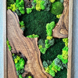 Preserved Moss Wall Art - Natural Green Decor with Wood Frame Modern Nature Wall Hanging for Home and Office - 20"x39"