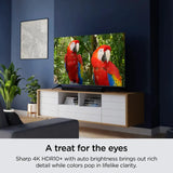 Hisense 43" Class 4K Ultra HD (2160P) HDR Roku Smart LED TV (43R6E4)