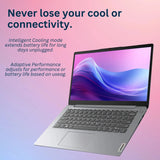 Lenovo 14" Business Laptop,Intel Celeron N4020,4GB RAM,384GB Storage