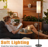 64 Inch Floor Lamp For Living Room With LED Bulb, 3 Color Temperatures