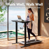 48x24 Adjustable Height Standing Desk, 4 Memory Settings, Cable Management