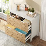 Tribesigns 2-Drawer File Cabinet, Lateral Filing Cabinet for A4/Letter/Legal Size