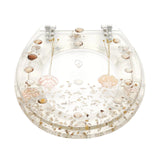 Beautiful Resin Toilet Seat Cover Stainless Steel Slow Down