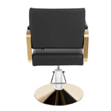 Stylist Chairs for Salon, Modern Salon Chair Adjustable Height , 360° Rotatable Barber Chair 200kg/440.92lbs for Barber Shops Homes