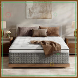 14 Inch Hybrid Queen Mattress in a Box - Memory Foam & Pocket Springs