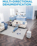 Steep Discount Cube 20 Pint Dehumidifier For Basement, Up To 1,500 Sq. Ft.