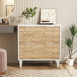 Tribesigns 2-Drawer File Cabinet, Lateral Filing Cabinet for A4/Letter/Legal Size