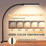 LED Desk Lamp with Clamp, 3000K Warm White, 11 Brightness Levels