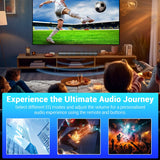Sound Bar TV Sound System Bluetooth Speaker Wireless Subwoofer Bass Home Theater Rechargeable