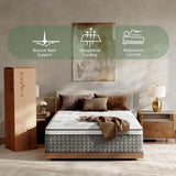14 Inch Hybrid Queen Mattress in a Box - Memory Foam & Pocket Springs