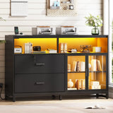 59" File Cabinet, 2 Drawers Filing Cabinets for Home Office fit Legal/Letter