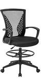 PayLessHere Black Mesh Office Chair Adjustable Lumbar Support Armrest