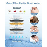 Filtered Shower Head with Handheld Combo - Dual 2-in-1 Spa System with Massage Shower and