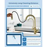 Gold Kitchen Faucet with Drinking Purified Water Tap High Arc 3-in-1 Stainless Steel Sink Faucet for 1 Hole