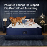 California King Size Mattress in a Box Medium Pocket Spring