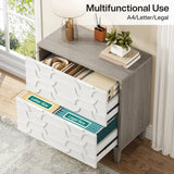 Tribesigns 2-Drawer File Cabinet, Lateral Filing Cabinet for A4/Letter/Legal Size