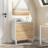 Tribesigns 2-Drawer File Cabinet, Lateral Filing Cabinet for A4/Letter/Legal Size, Office Storage Cabinet