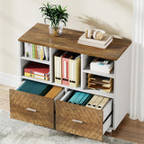 Tribesigns 2-Drawer Wood File Cabinet, Mobile Lateral Filing Cabinet