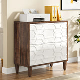 Tribesigns 2-Drawer File Cabinet, Lateral Filing Cabinet for A4/Letter/Legal Size, Office Storage Cabinet