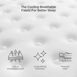 14 Inch Hybrid Queen Mattress in a Box - Memory Foam & Pocket Springs