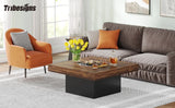 Engineered Wood Low Coffee Table for Living Room Rustic Brown & Black