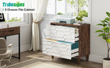 Tribesigns 2-Drawer File Cabinet, Lateral Filing Cabinet for A4/Letter/Legal Size