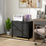 Lateral File Cabinet, 2 Drawer Filing Cabinet with Adjustable