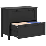 Lateral File Cabinet, 2 Drawer Filing Cabinet with Adjustable