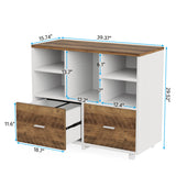 Tribesigns 2-Drawer Wood File Cabinet, Mobile Lateral Filing Cabinet