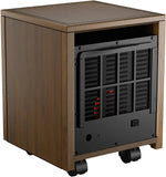 DR-123 Indoor Portable Space Heater with Remote Control for Mobility, Pro