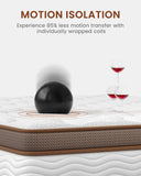 14 Inch Hybrid Mattress with Orthopedic Spinal Support