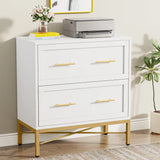 Tribesigns 2 Drawer File Cabinet, Modern Lateral Filing Cabinet for Letter
