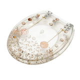 Beautiful Resin Toilet Seat Cover Stainless Steel Slow Down